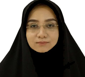 Dr. Seyed Salil Ziaei